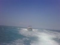 Cuban CG chase.jpg