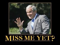 bush.jpg