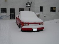 Snow pictures 001 (Large).jpg