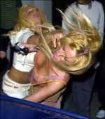 catfight.jpg