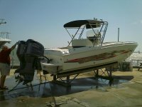 Scarab Sport 1.jpg