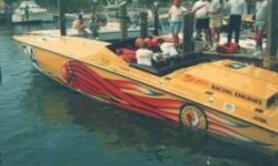 Yellow 41.jpg