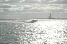 KW2009_25.jpg