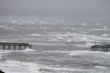 pier+damange+carol+deluca3.jpg
