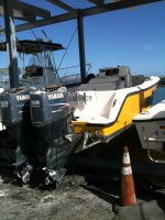 IMG_0788.jpg