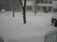 SnowDec09 008.jpg
