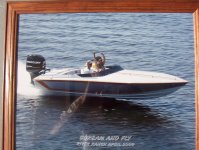 shadow fin.jpg