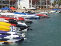 IMG_1232.jpg