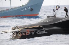 adygil2.jpg