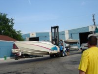 DSC02017.jpg