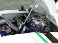 Cat_motor_2008.jpg