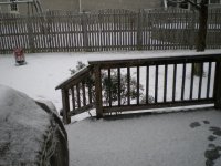 Feb2010Snow 012.jpg