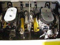 yellow1.jpg