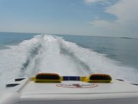 IMG_0799.jpg
