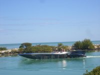 2009_1230MiamiBoatshowrun20100080.jpg