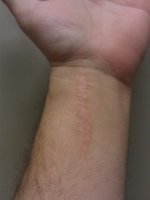 IMAG0110.jpg