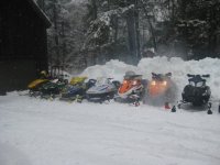 7sledlineup.jpg