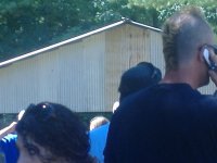 MohawkBaldSpot.JPG