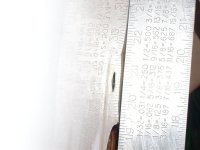 worn (4) (Large).jpg
