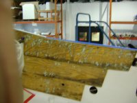 DSC07206.jpg