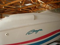 ram air 041.jpg
