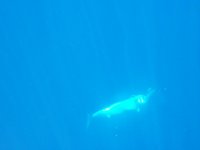 fishin ! 019.jpg
