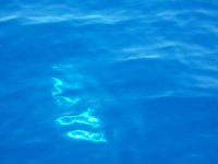 fishin ! 018.jpg