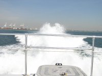 P1010009.JPG