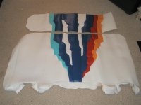 Formula rear skins 336 maybe (Medium).JPG