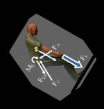 Janssen Spine Biomechanics 6-2010.jpg