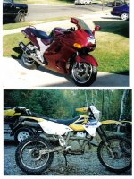 bikes 2.jpg