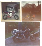 bikes.jpg