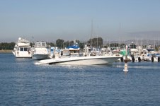 IMG_4586.jpg