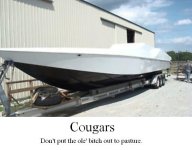 cougar bait 46.jpg
