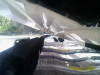 2-17-11 016.JPG