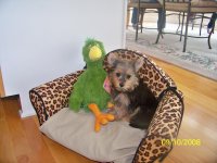 Big Toy from Aunt Debbie.jpg