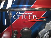 Sweet Cheek Donzi.jpg