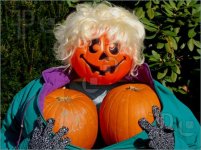 Pumpkin-Breasts.jpg