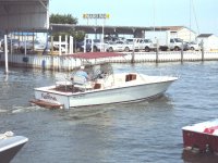 DSC04454.JPG