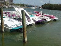 Copy (2) of Key West 05 010.jpg