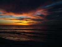 DSCF1565.jpg