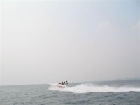 IMG_0817.jpg