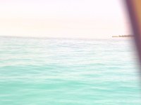 Fishgun 036.jpg