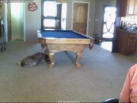 pool table.jpg