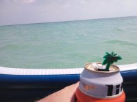 IMG_20160407_144416.jpg