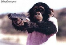 Monkeygun.jpg