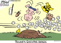 trump charlie brown.jpg