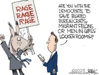 dems rage 1.jpg