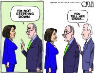 schumer stepping down.jpg