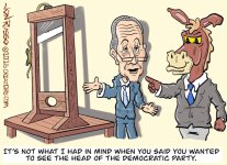 schumer head of dems.jpg